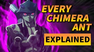 Every Types of Chimera Ant Explained in 12 Minutes  Hunter x Hunter [upl. by Tu138]