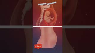 Baby movement inside the womb babymovement babydevelopment drpoonammaggo [upl. by Latsyrk]