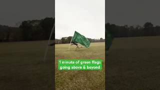 1 minute of wholesome green flags [upl. by Eitnom]