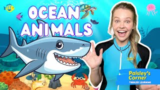 Toddler Learning  Learn Ocean Animals  Educational Videos for Kids  Learning Videos for Toddlers [upl. by Norry]