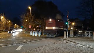 🍁🍂🌲📽🚂😱 Harzkamel 199 872 V 100 brüllt sich durch Wernigerode 02112024 😱🚂📽🌲🍂🍁 [upl. by Aitam]