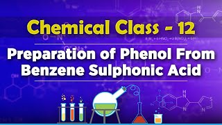 Preparation of Phenol From Benzene Sulphonic Acid  Alcohols Phenols and Ethers [upl. by Daveen]