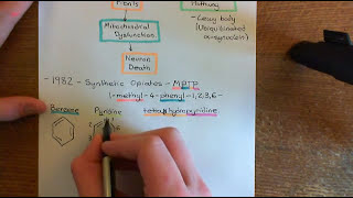 Parkinsons Disease and Antiparkinson Drugs Part 4 [upl. by Fredi59]