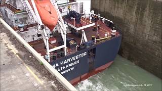 Ships ALGOMA HARVESTER amp CSL RT HON PAUL J MARTIN meet below Lock 3 Welland Canal 2017 [upl. by Yvan]