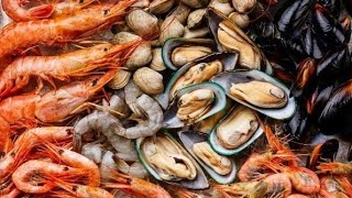 AmnesiaCausing Microorganisms Found in Luzon Shellfish [upl. by Rosane]