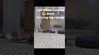 Lying leg raises legraises 6packsabs fatloss rikifitness gif 3dart yatendersingh samsulek [upl. by Lehcyar403]