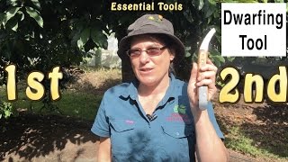 Dwarfing Tool Cincturing or Girdling Fruit Trees  Quicker Fruiting [upl. by Volney]