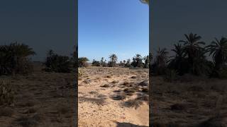 Séjour à Djerba 🇹🇳 djerba tunisia travel tunisie [upl. by Bakerman33]