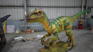 Animatronic Dinosaur  Velociraptor in factory [upl. by Eimmat]