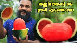 തണ്ണിമത്തന്റെ ദശ ഊരി എടുത്താലോ  How to cut and skin a watermelon  MALAYALAM [upl. by Rundgren839]