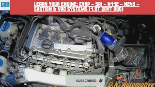 Learn your VW Engine Skoda Octavia RS AUQ EVAP  SAI  N112  N249  SUCTION amp VAC systems [upl. by Enyleuqcaj592]