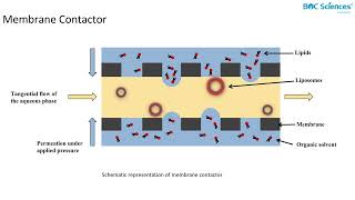 Liposome Preparation 2 [upl. by Riplex]