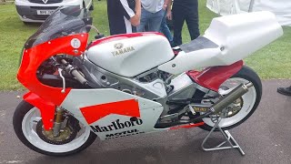 Aberdare Park Road Races 2024 [upl. by Varipapa]