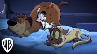 Bunnicula  Season 1 Part 1  quotHungryquot Clip  Warner Bros Entertainment [upl. by Carlson]