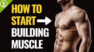 How To Start Building Muscle For Beginners [upl. by Stanway47]