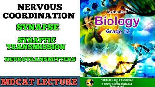 SYNAPSE  SYNAPTIC TRANSMISSION  NEUROTRANSMITTER AND TYPES CLASS 12 BIOLOGY FEDERAL AKU MDCAT [upl. by Erek]