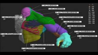 INCREDIBLE HULK  COMPUTER ANIMATION and MOTIONCAPTURE EPK [upl. by Tallu]