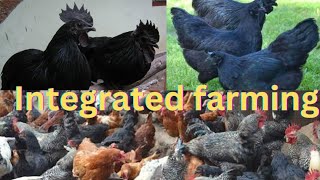 integrated farming in india [upl. by Kcitrap]