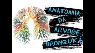 AULA 40 ANATOMIA DA ÁRVORE BRÔNQUICA [upl. by Alihs]