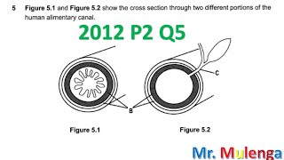 2012 G12 BIOLOGY PAPER 2 Q5DIGESTION [upl. by Israel582]