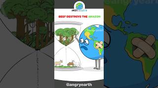 Beef Destroys The Amazon shorts SaveTheAmazon [upl. by Emil]