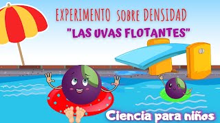 EXPERIMENTO DE DENSIDAD PARA NIÑOS LAS UVAS FLOTANTES 🍇 CIENCIA PARA NIÑOS 👧🏻👦🏽 [upl. by Hill381]