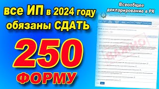 ИНСТРУКЦИЯ как ПРАВИЛЬНО сдать 250 форму для ИП в 2024 году Всеобщее декларирование в Казахстане [upl. by Atenek]