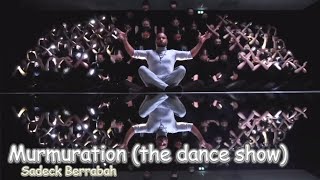 Murmuration the dance show Sadeck Berrabah [upl. by Hnib]