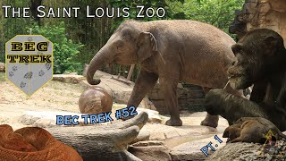 My BIGGEST Day Trip To Date  The St Louis Zoo  BEC TREK Episode 52 Pt 1 [upl. by Annaira]