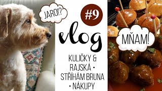 VLOG 9  kuličky s rajskou nákupy a stříhání Bruna🐶 [upl. by Ever]