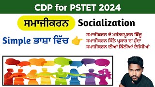 Socialization  socialization process  Agencies of Socialization  Pstet exam preparation 2024 [upl. by Tcideneb]