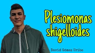 Presentacion plesiomonas shigelloides David Gomez [upl. by Camellia]