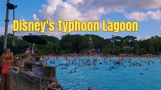 Disneys Typhoon Lagoon Waterpark Walking TourWalt Disney World Water Park [upl. by Kcim]