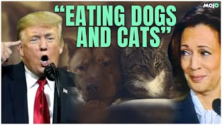 Donald Trump Vs Kamala Harris I quotTheyre Eating The Dogsquot I Yes He Really Said That I Explained [upl. by Htiekel]