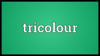 Tricolour Meaning [upl. by Ainuj]