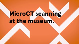 MicroCT scanning of collection specimens and objects at the Australian Museum [upl. by Niall946]