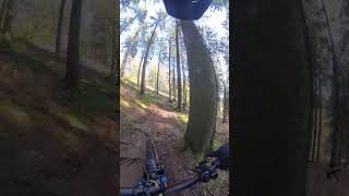 Great MTB Trail [upl. by Idelia667]