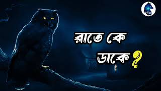 রাতে কে ডাকেGhost hunters story Sotti vuter golpoAloukik zone [upl. by Notlad]