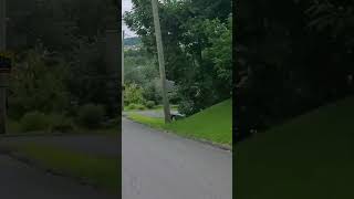 Caught Speeding on my Ebike 🤫😊ebike shorts speed [upl. by Rosati811]