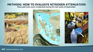 May 16 2024 Attenuation of Nitrogen Wetlands Sarah Kintner Hydrometrics Inc [upl. by Enawtna669]