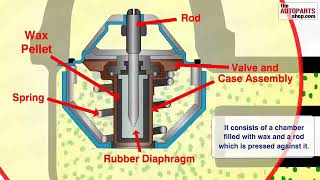 How Car Cooling System Works YouTube [upl. by Acirfa417]