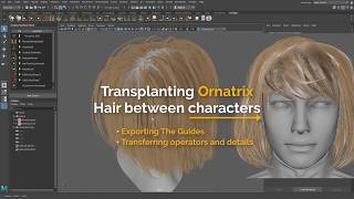 Ornatrix for Maya Transplanting Hair between characters [upl. by Aeuhsoj]