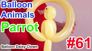 Balloon Animals for Beginners 61 Parrot [upl. by Goddord879]