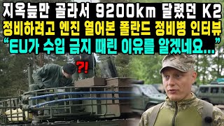 지옥늪만 골라서 9200km 달렸던 K2정비하려고 엔진 열어본 폴란드 정비병 인터뷰 “EU가 수입 금지 때린 이유를 알겠네요” [upl. by Rybma]