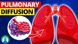 Pulmonary Diffusion Medical Definition  Quick Explainer Video [upl. by Leterg300]