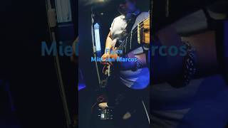 Fiesta  Miel san Marcos video completo en mi canal guitar guitarra rock guitarramusica music [upl. by Idnaj]