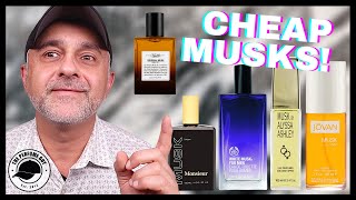 TOP 5 AWESOME MUSK FRAGRANCES UNDER 50  3 ALTERNATIVE MUSK PERFUMES  INEXPENSIVE MUSK FRAGRANCES [upl. by Janeva409]