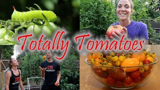 Totally Tomatoes Garden Episode Two Planting Hornworms Harvesting and More [upl. by Ilise]