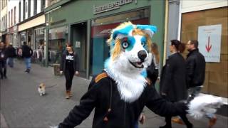 At the 04 March 2017 Fursuit walk in inner city koblenz Germany [upl. by Nyleahcim]