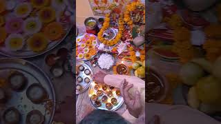 Anudan ki live minivlog love hindufestival meraladdugopal laddu song laddu 🙏❤️🙏❤️ [upl. by Montagu20]